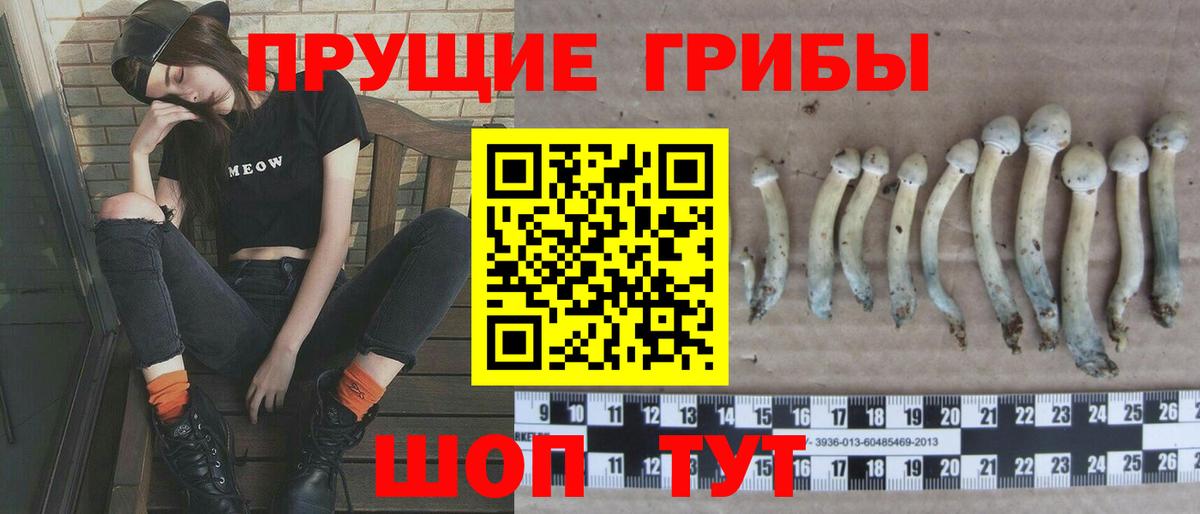 Псилоцибиновые грибы прущие грибы  Галлюциногенные грибы прущие грибы  Саратов  Вход с VPN 